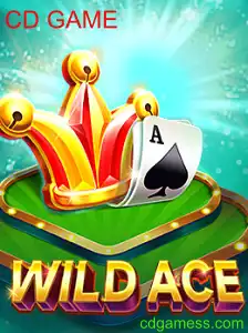 Explorando o Mundo de WildAce: Um CD GAME Inovador